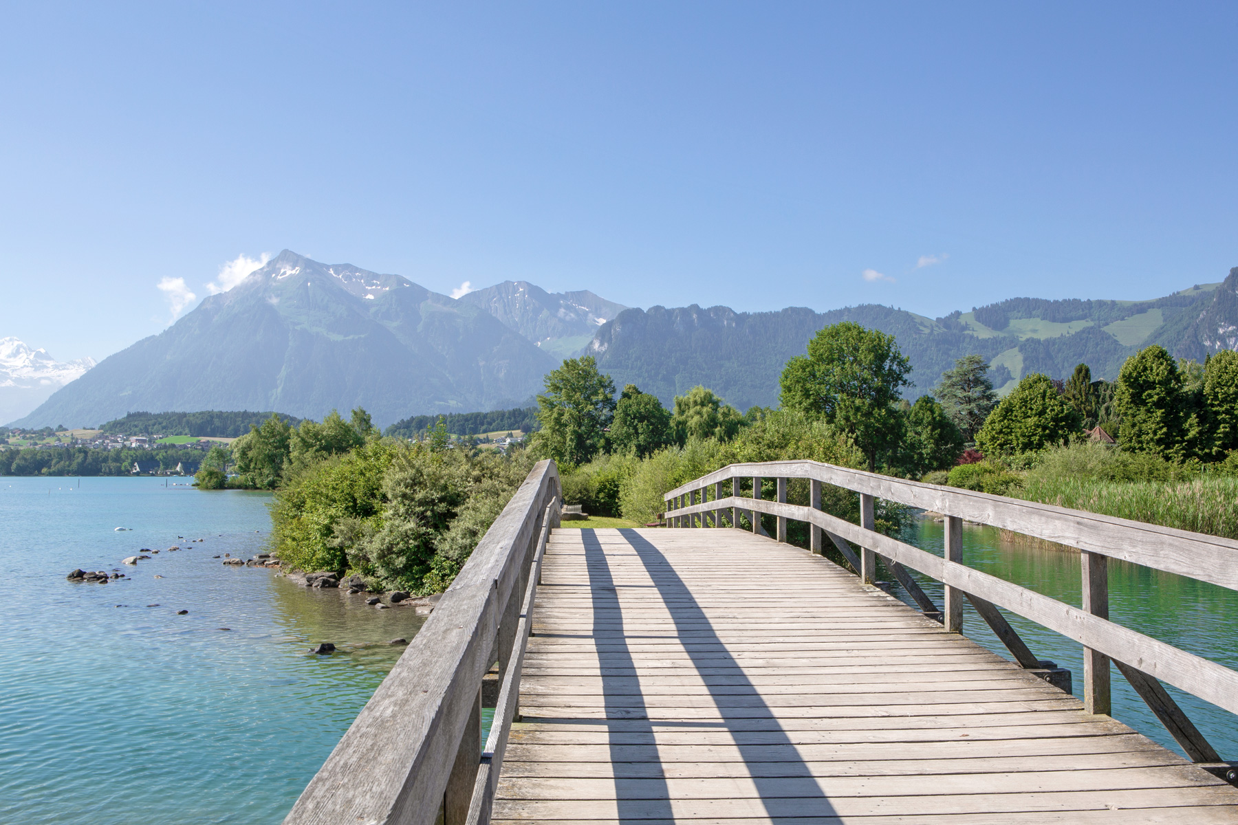Frutiger_Hoffmatte_Thunersee_web.jpg Frutiger_Hoffmatte_Thunersee_web